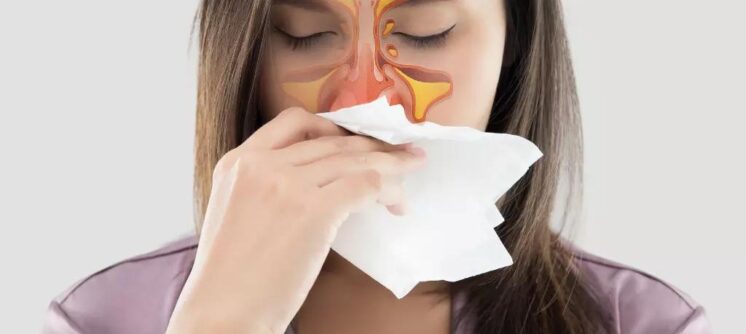 WhatsApp Image 2026-02-03 at 6.31.56 PM