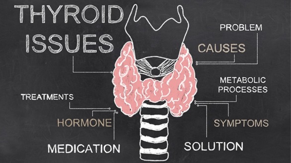 thyroid-disorder-2